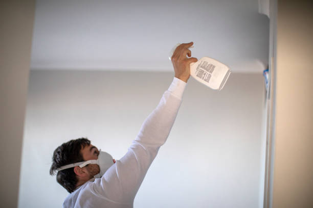 Crawl Space Mold Removal in Morristown, TN