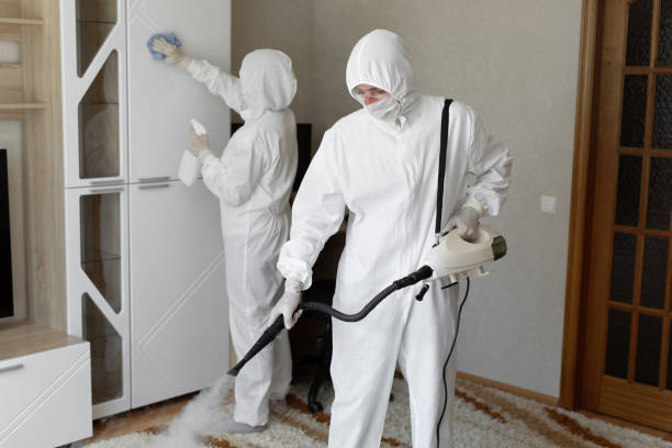 Best Mold Removal Process  in Morristown, TN